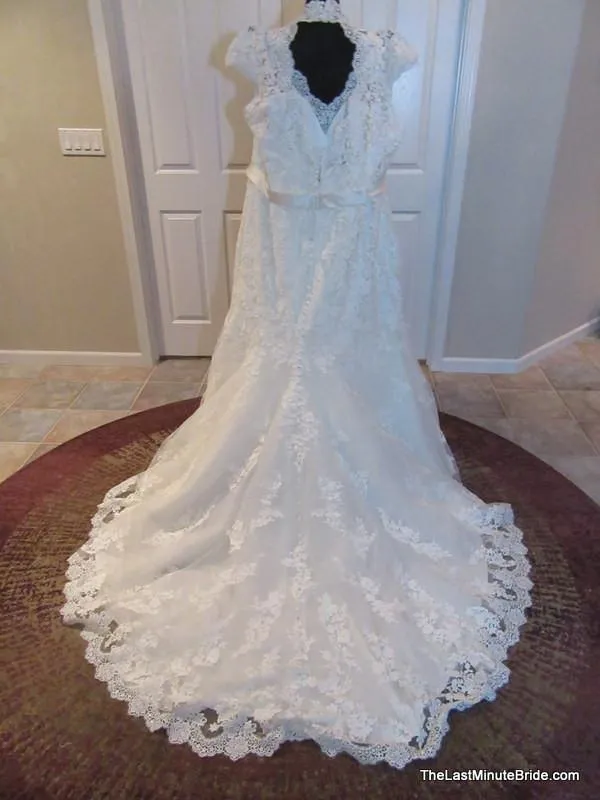 Allure Bridals W330
