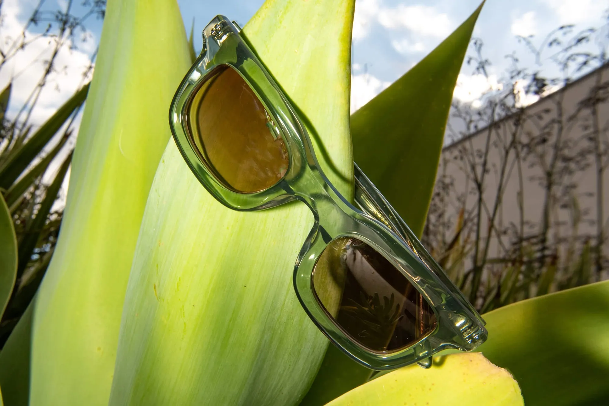 Anti Matter Sunglasses