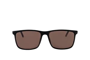 Brooklyn Sunglasses Readers (Brown)
