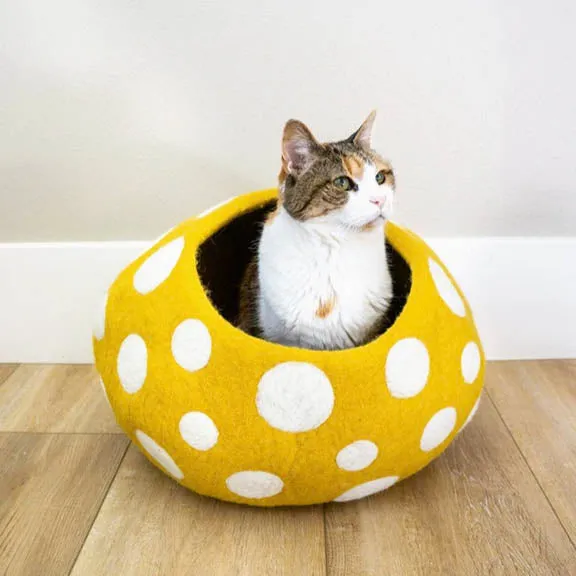 Cat Accessories