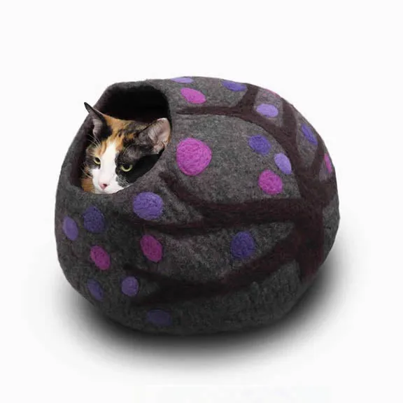 Cat Accessories