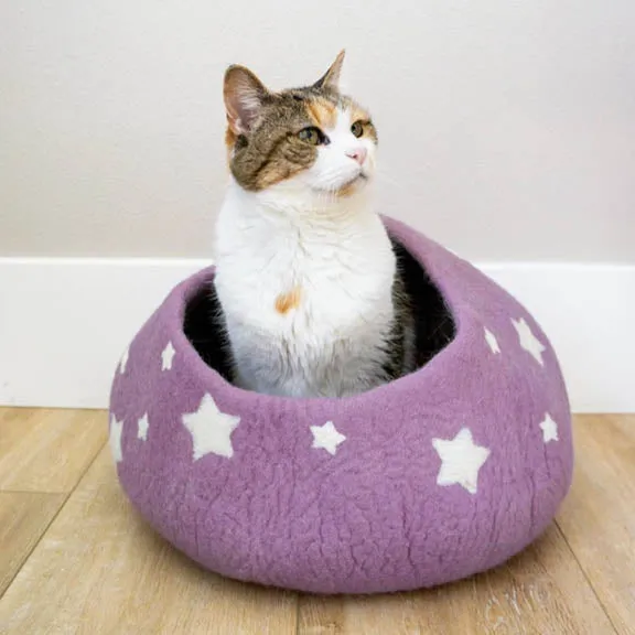 Cat Accessories