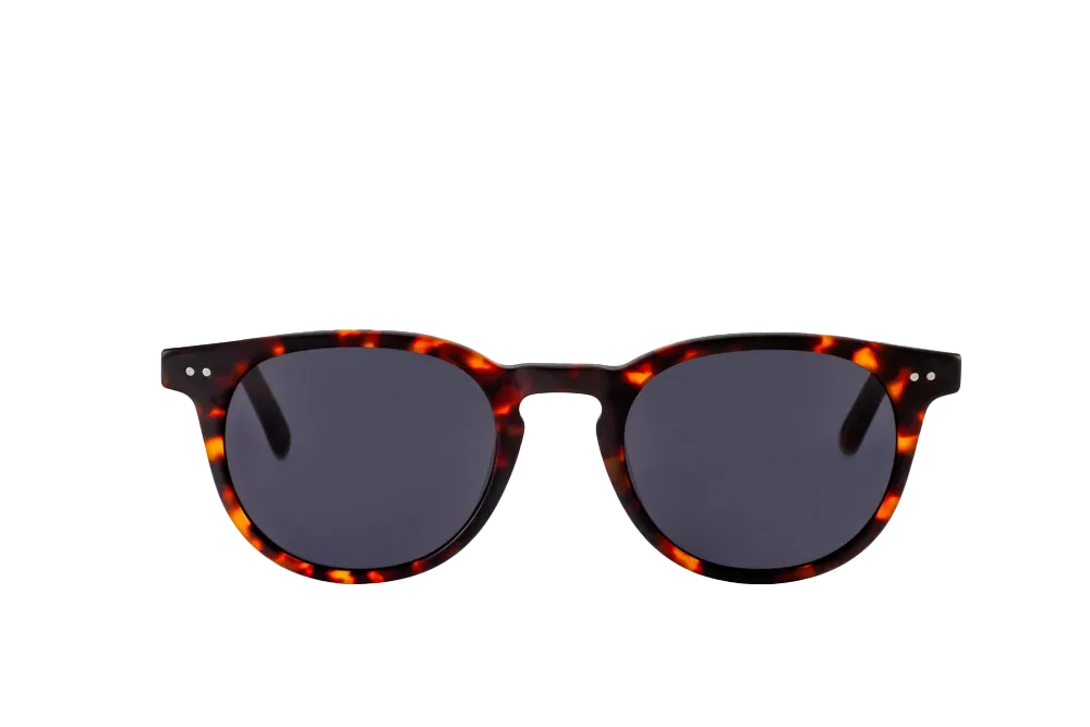 Clarke Sunglasses (Grey)