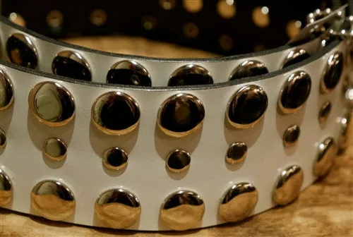 Continental Leather Fashion White Stud Belt