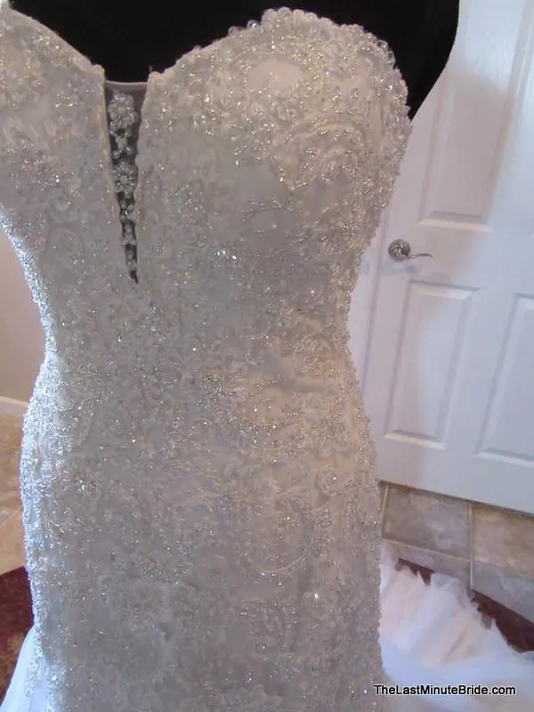 David Tutera 114293 Beryl