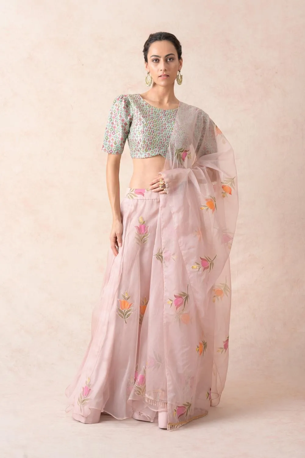 Embroidered Blouse With Organza Lehenga, Dupatta