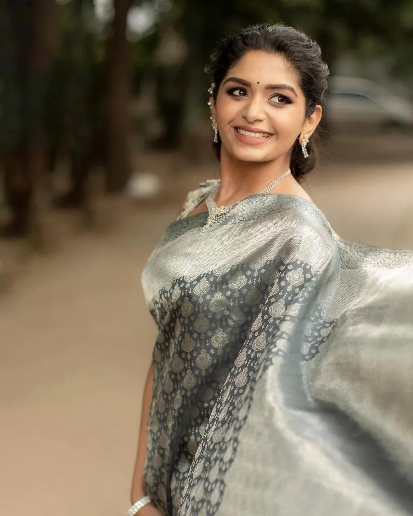 Grey Banarasi Soft Silk Saree With Blouse