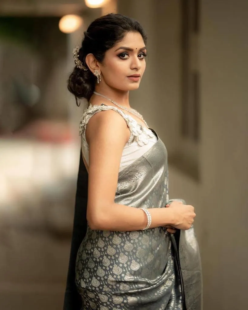 Grey Banarasi Soft Silk Saree With Blouse