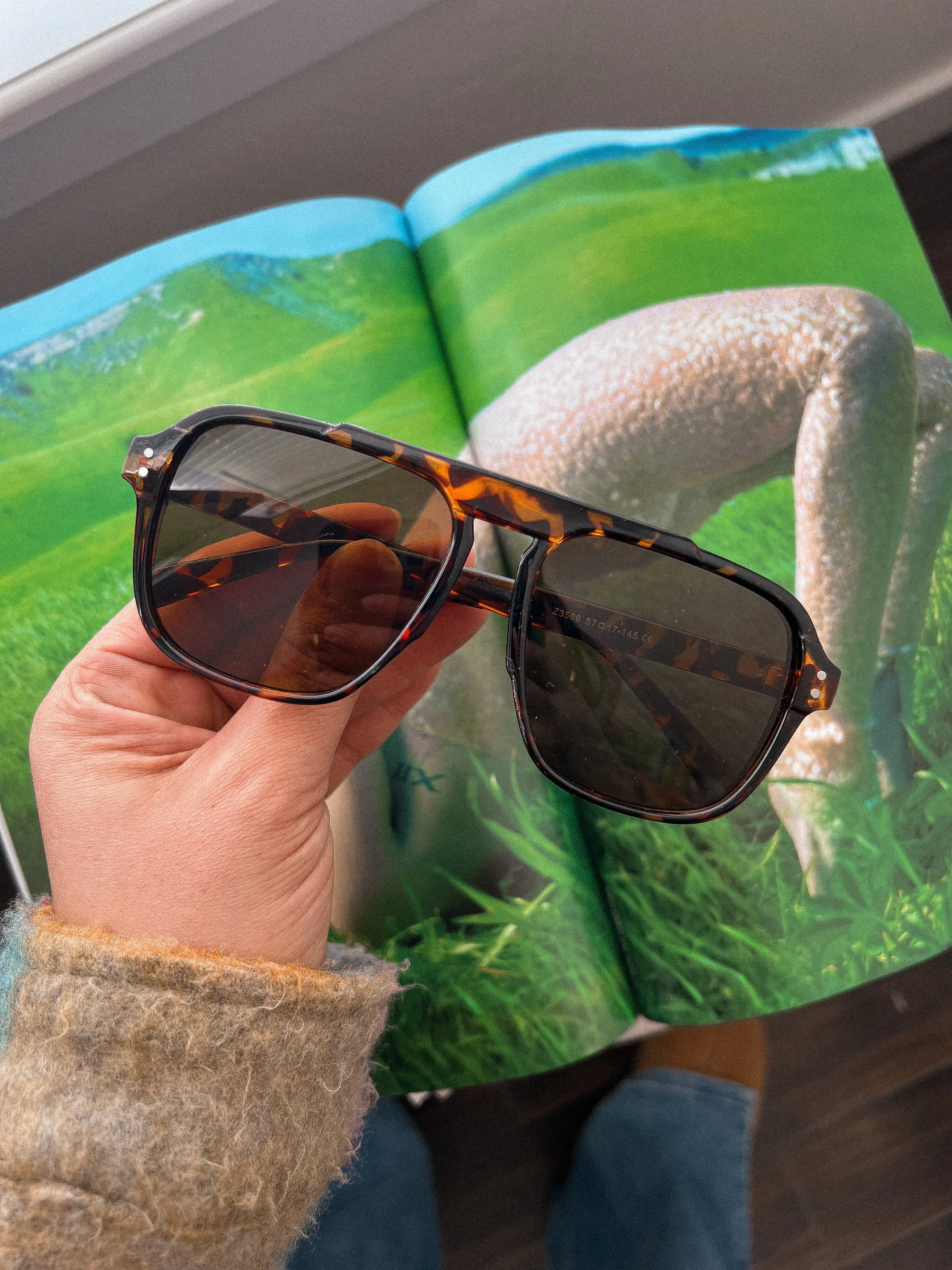 heartless aviator sunglasses *TORT BROWN*