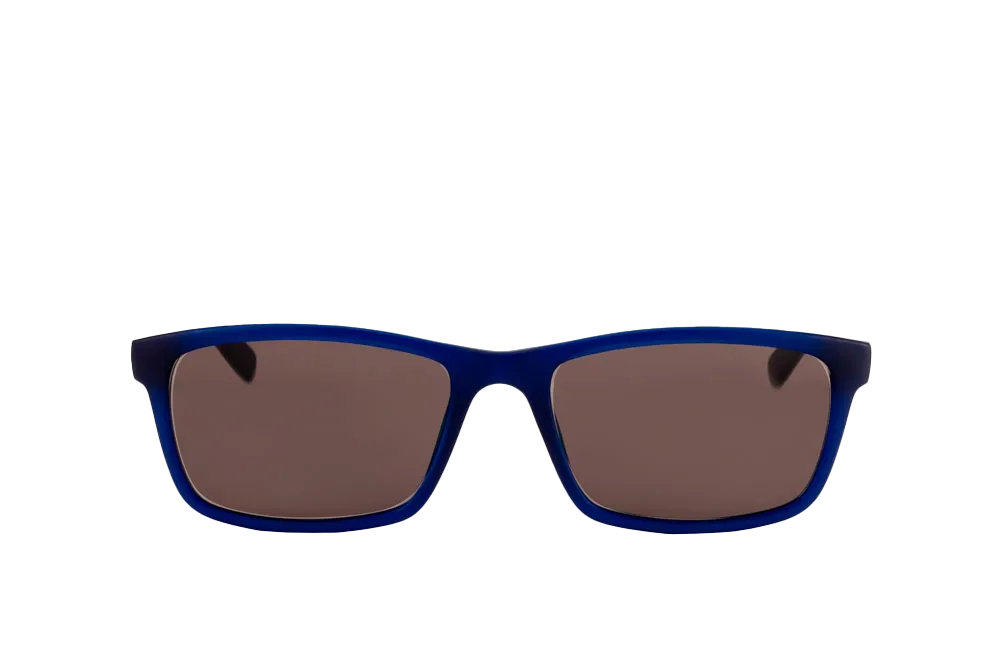 Hudson Sunglasses (Brown)