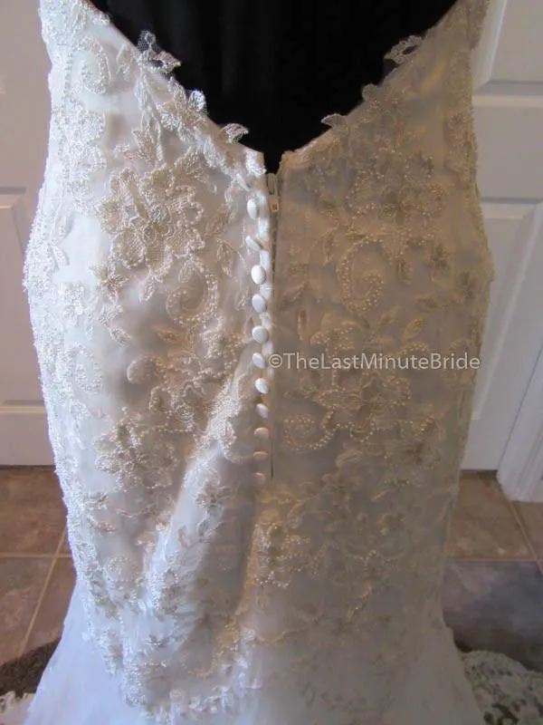 Maggie Sottero Collins 6MT266 Size 14 Petite