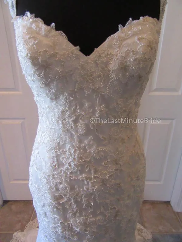 Maggie Sottero Collins 6MT266 Size 14 Petite