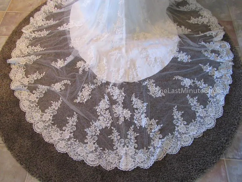 Maggie Sottero Collins 6MT266 Size 14 Petite
