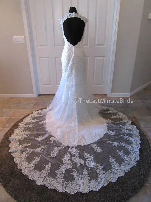 Maggie Sottero Collins 6MT266 Size 14 Petite