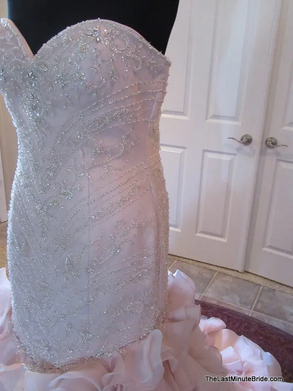 Maggie Sottero Serencia 5MT118 size 14