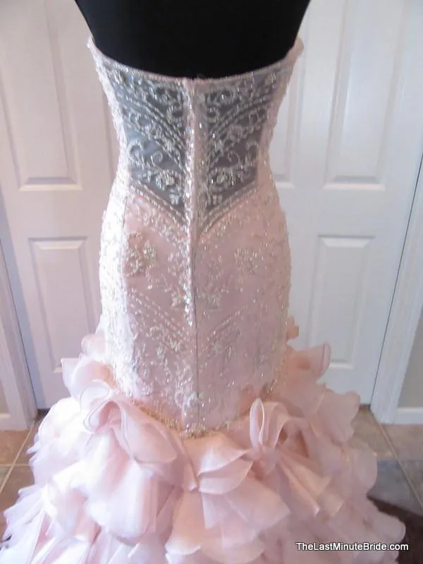 Maggie Sottero Serencia 5MT118 size 14