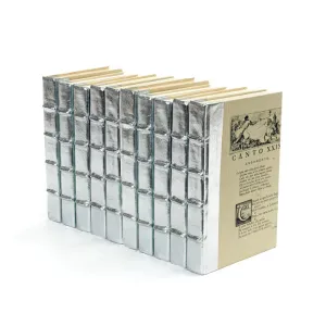 METALLIC SILVER STUNG BOOK