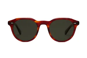 Morrison Sunglasses - Havana