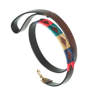 Pampeano Dog Leads