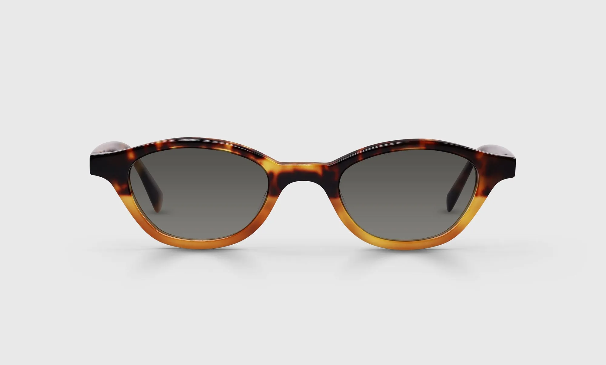 Pickwick Sunglasses