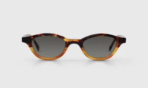 Pickwick Sunglasses