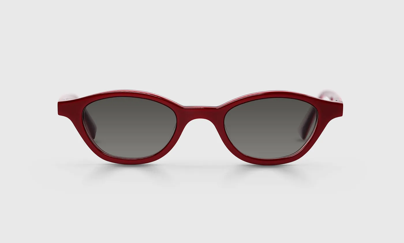 Pickwick Sunglasses