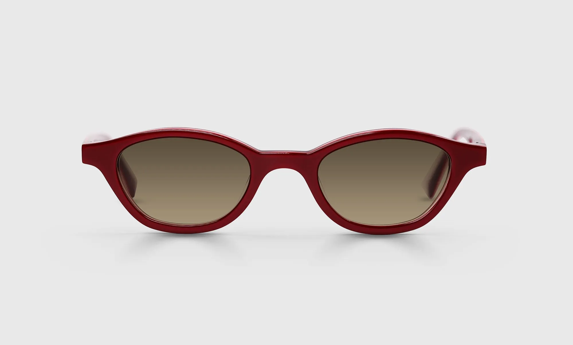 Pickwick Sunglasses