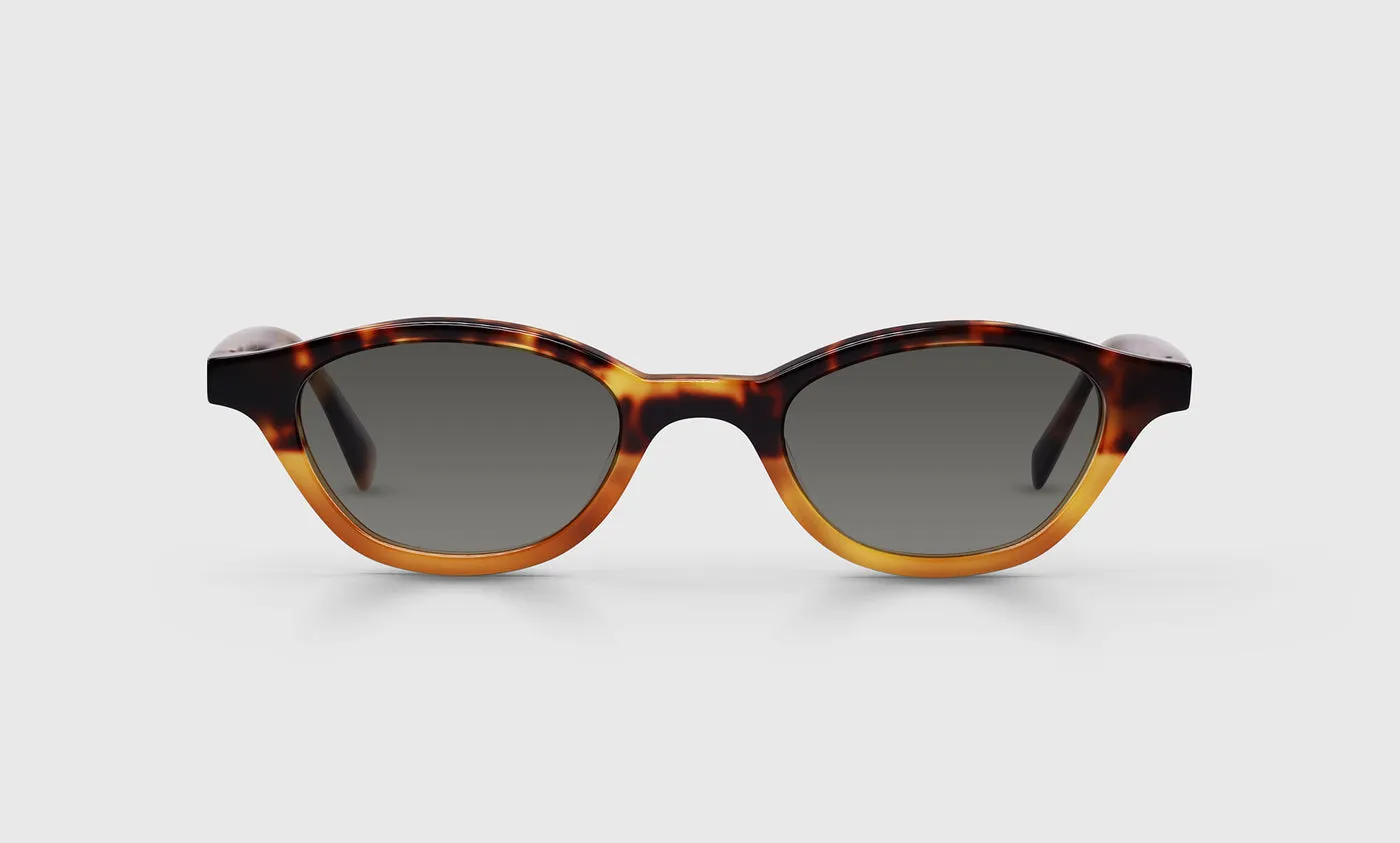 Pickwick Sunglasses