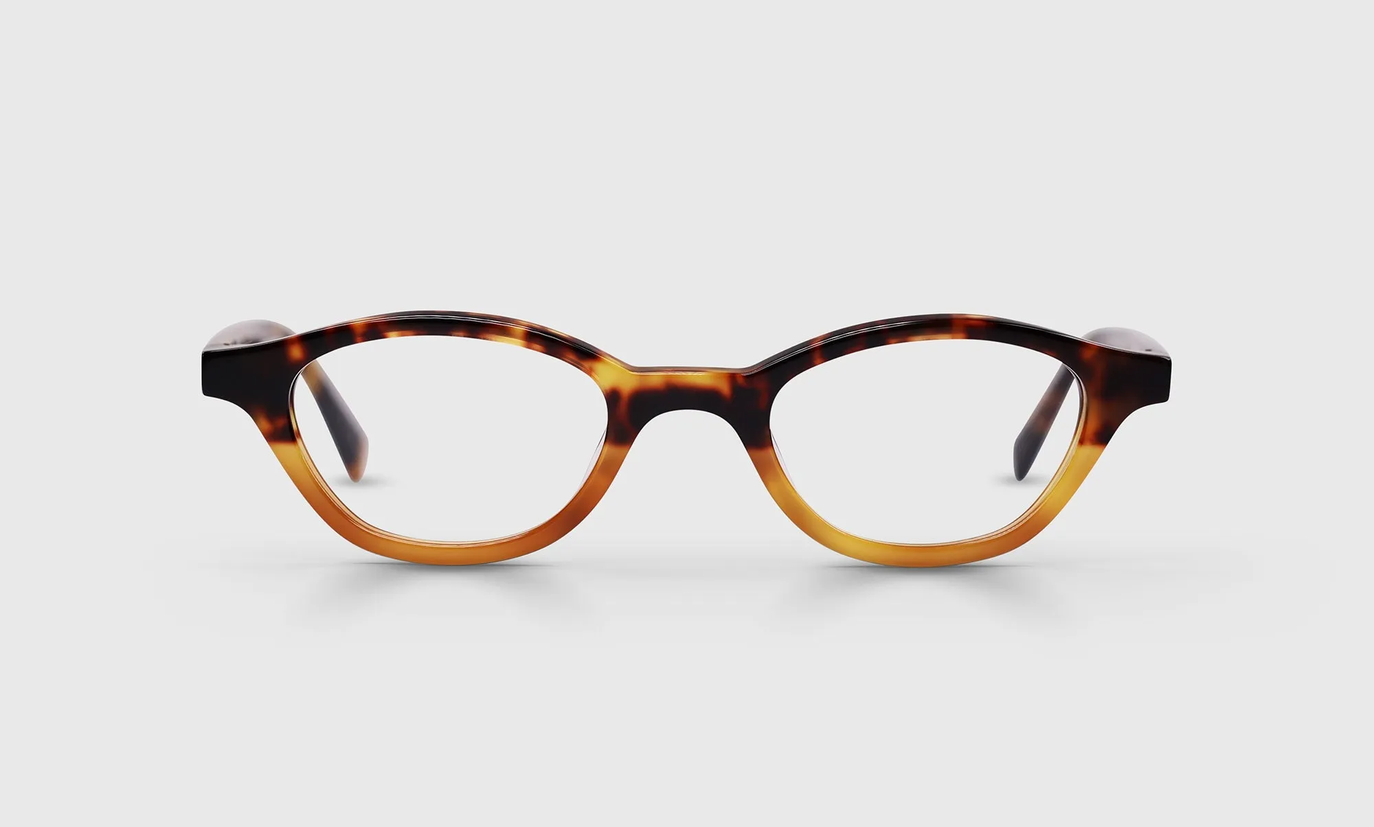 Pickwick Sunglasses