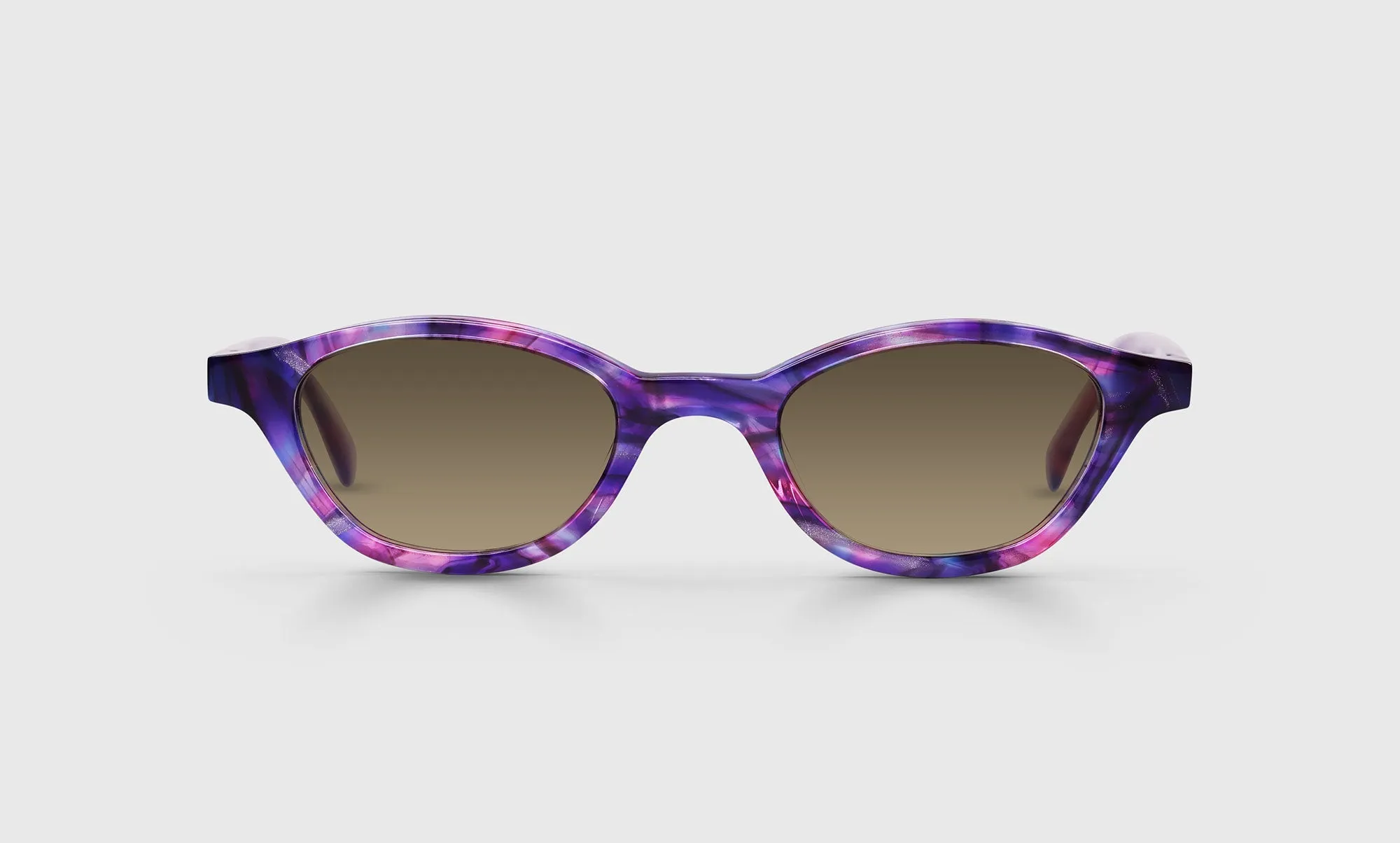 Pickwick Sunglasses