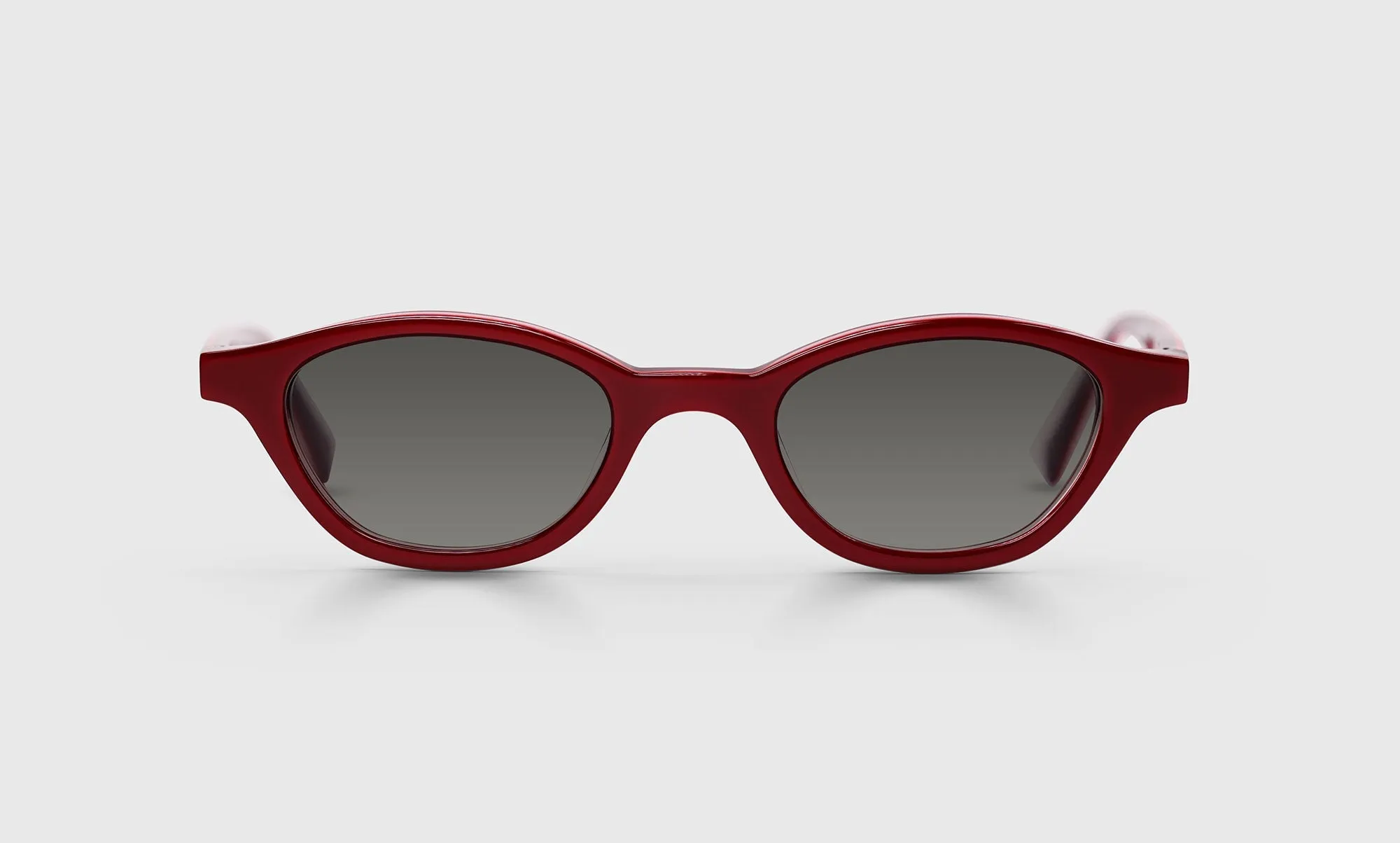 Pickwick Sunglasses