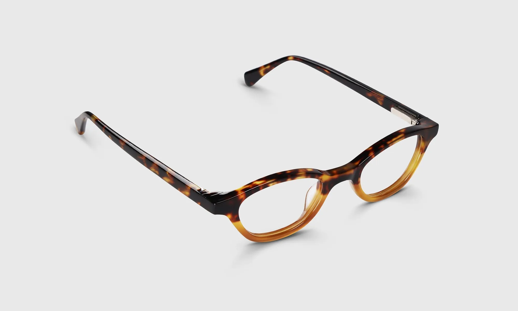 Pickwick Sunglasses