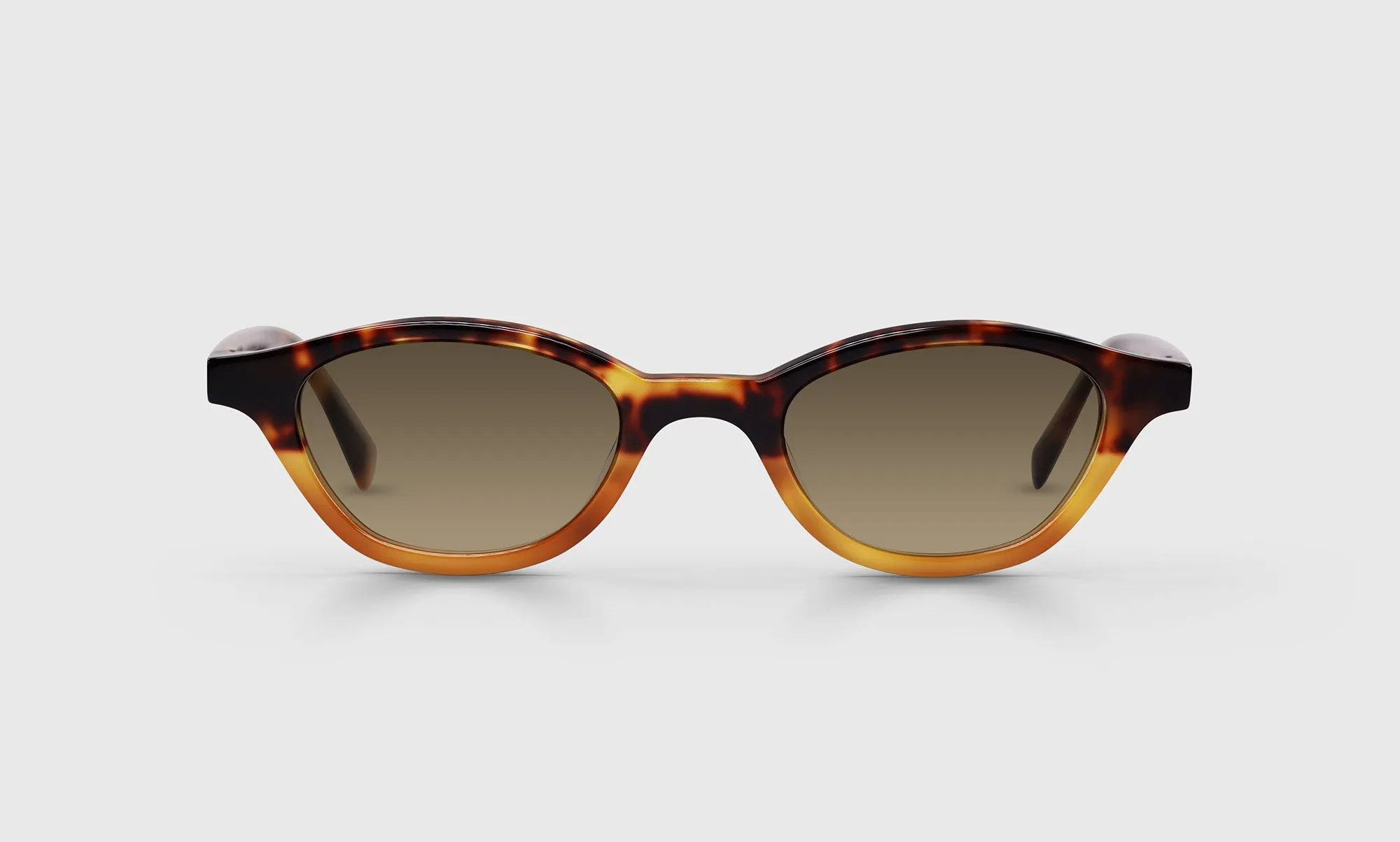Pickwick Sunglasses