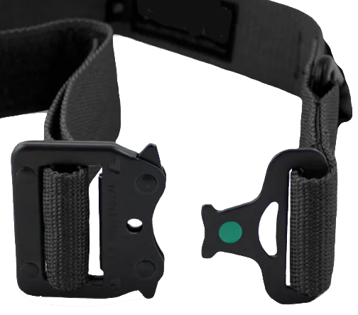 Rapid Release Buckle
