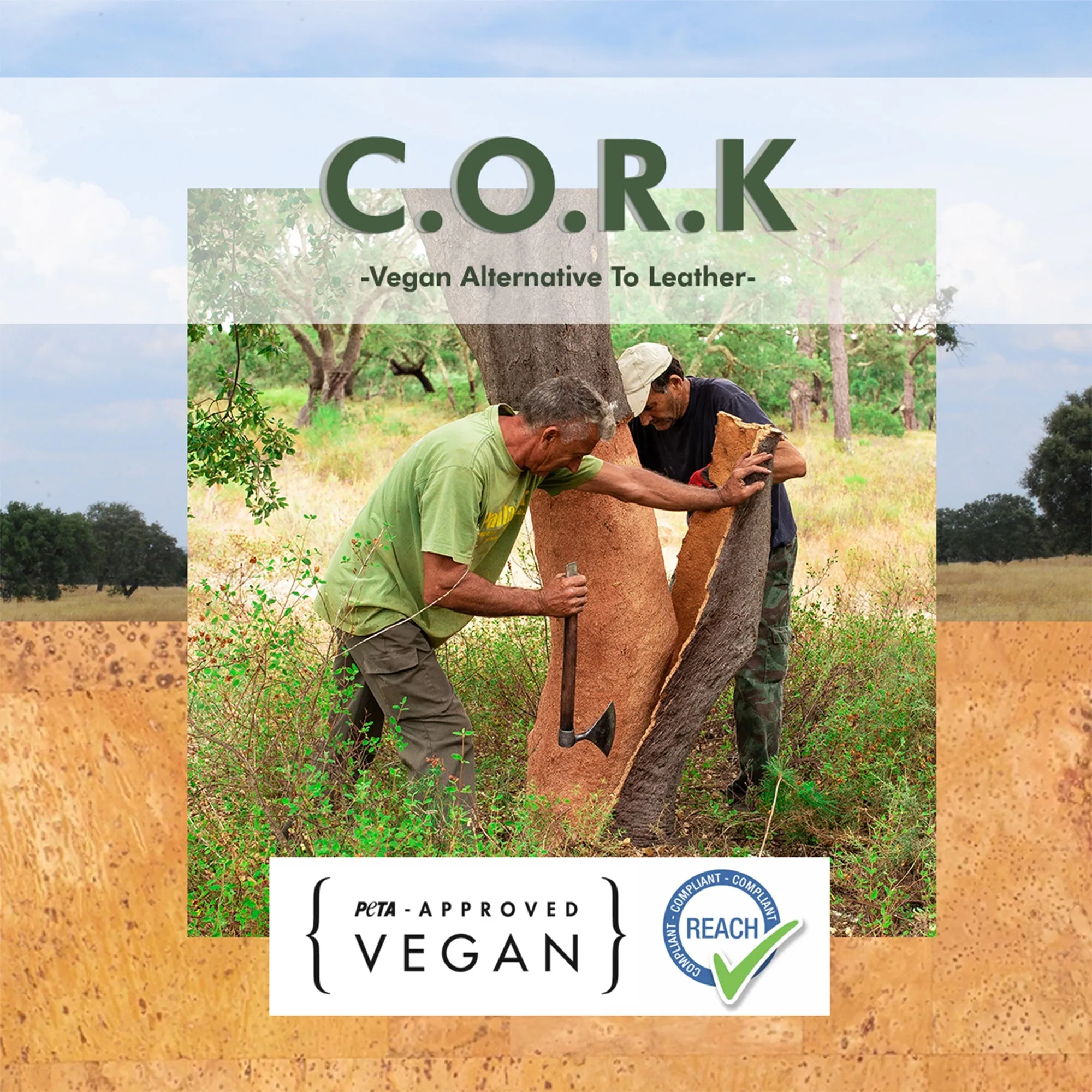 UV protection Cork sunglasses