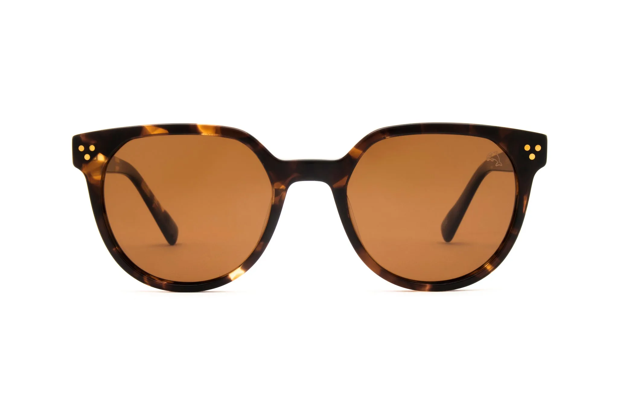 Westwood Tortoise